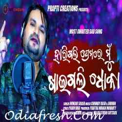 Harigali Premare Mu Khaigali Dhoka